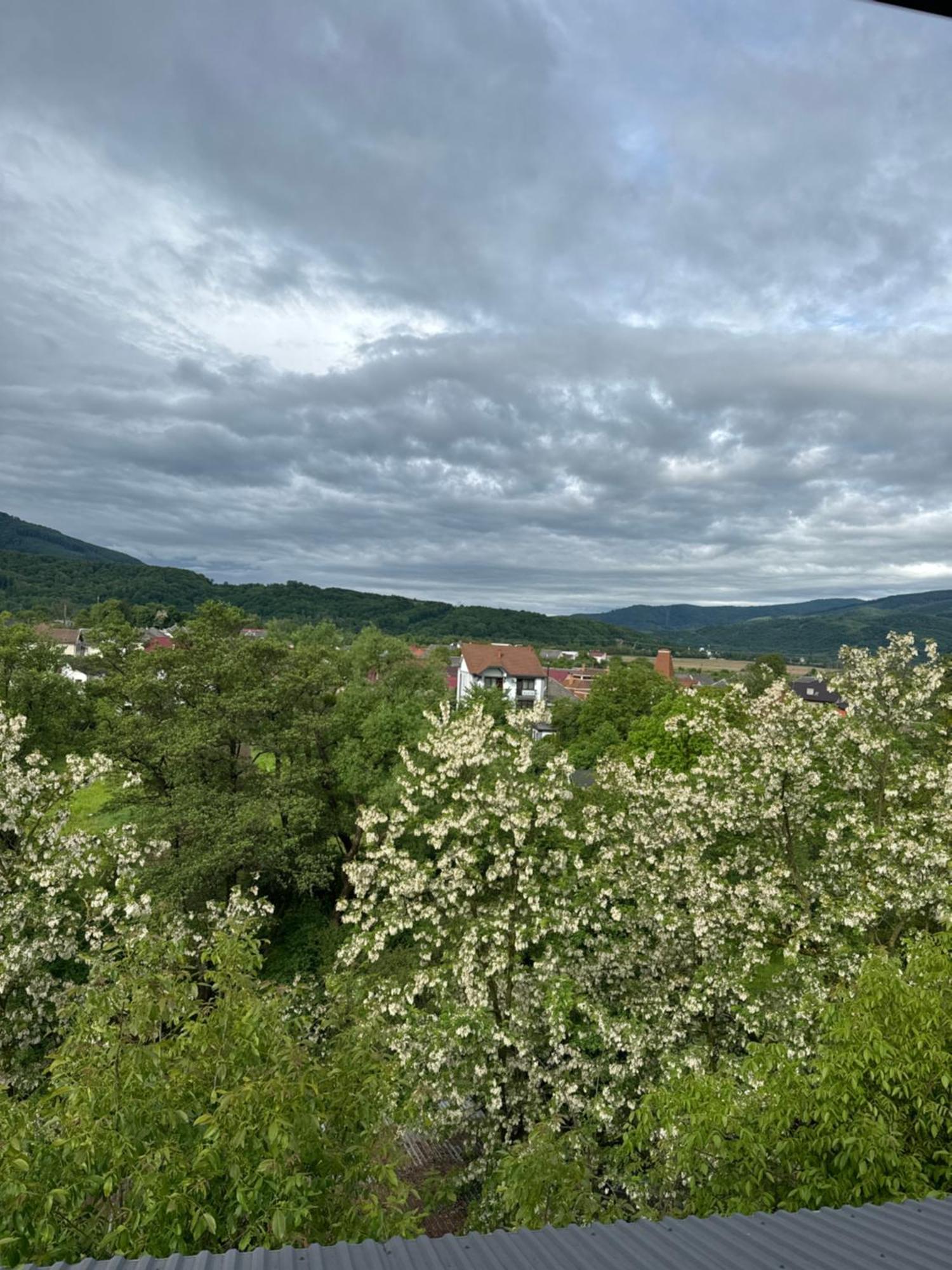 Hotel Еліт Svalyava Esterno foto